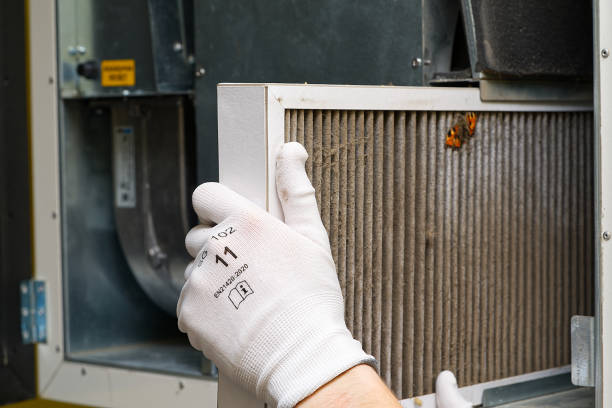 Best HVAC Air Duct Cleaning  in Edneyville, NC